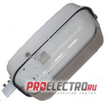 Светильник РКУ 10-250-022, IP53