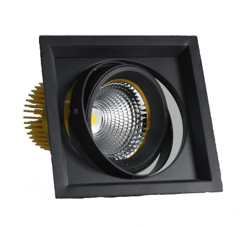 Карданный светодиодный светильник встраиваемый FLED-DL 002-25 (КАРДАНО-25)