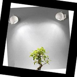 Pelota 7145 Linea Light, Бра