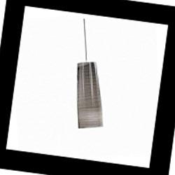 Tite Foscarini 111027SP5 20, Подвес