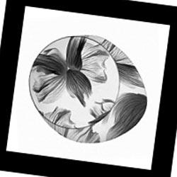 Wagashi 1720051A I Foscarini, Потолочная люстра