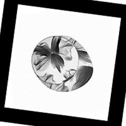 Wagashi 172005A I Foscarini, Потолочная люстра