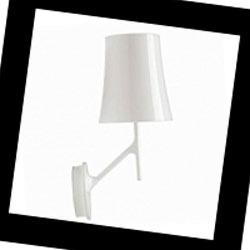 2210052DM 10 Foscarini Birdie, Бра
