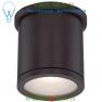 WAC Lighting Tube Ceiling Light FM-W2605-BZ, светильник