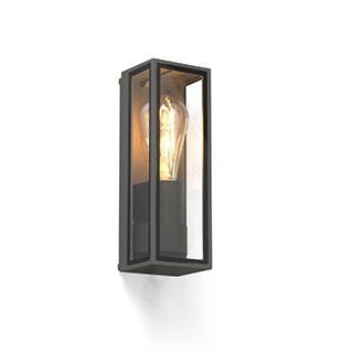 71303 TAMASHI Faro Barcelona