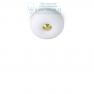 Ideal Lux ARIZONA PL2 потолочный светильник белый 214498